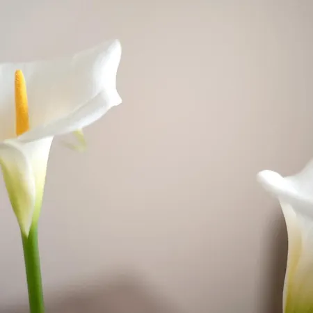 Casa Margarita Feriehus La Guancha